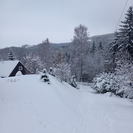 Český Jiřetín Hygge Chaloupka V Horachヴィラ エクステリア 写真