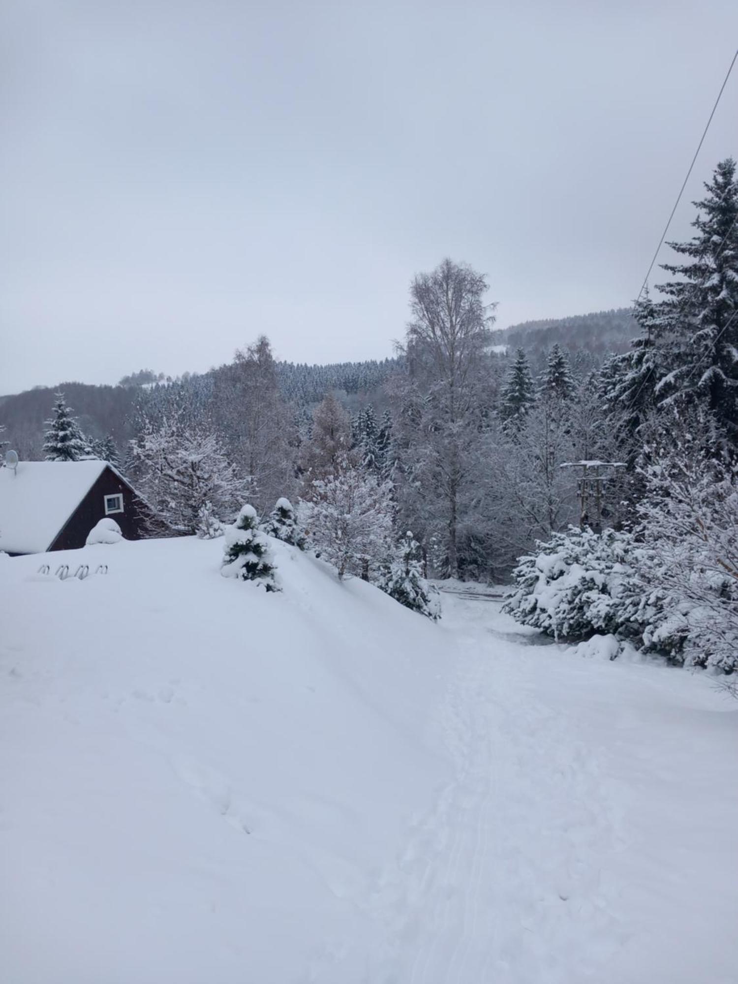 Český Jiřetín Hygge Chaloupka V Horachヴィラ エクステリア 写真